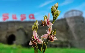 Bu ay 370 ailə köçürüləcək